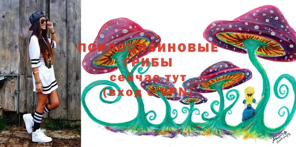 мет Верхний Тагил