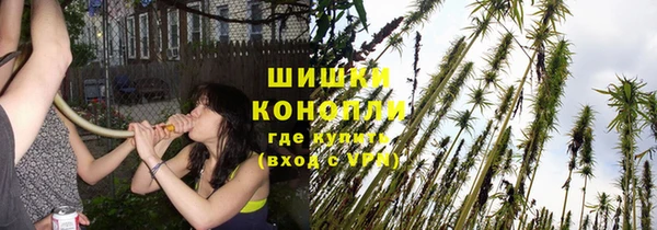 тгк Верея