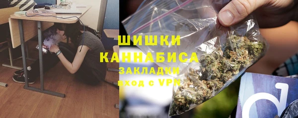 тгк Верея