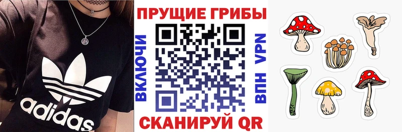 Псилоцибиновые грибы MAGIC MUSHROOMS  Первоуральск 